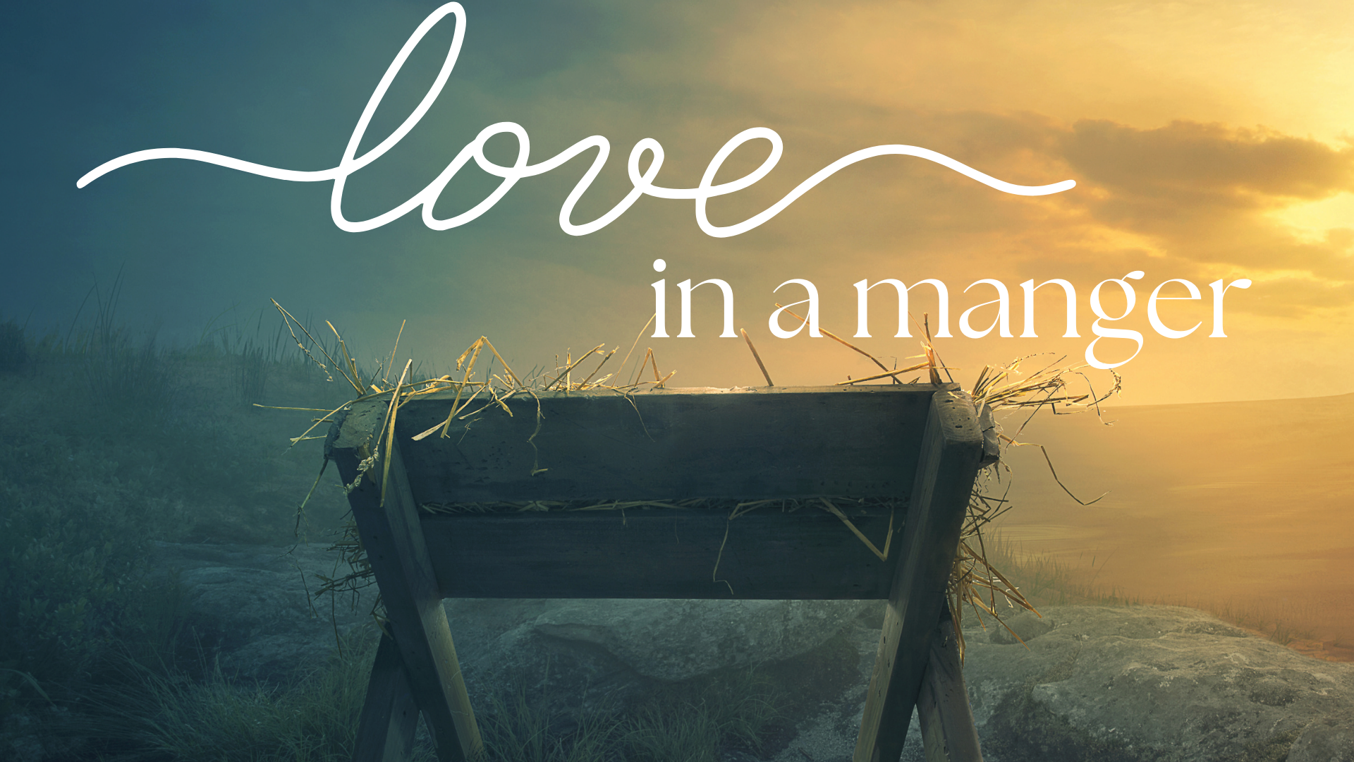 Love in a Manger (Advent of Love)