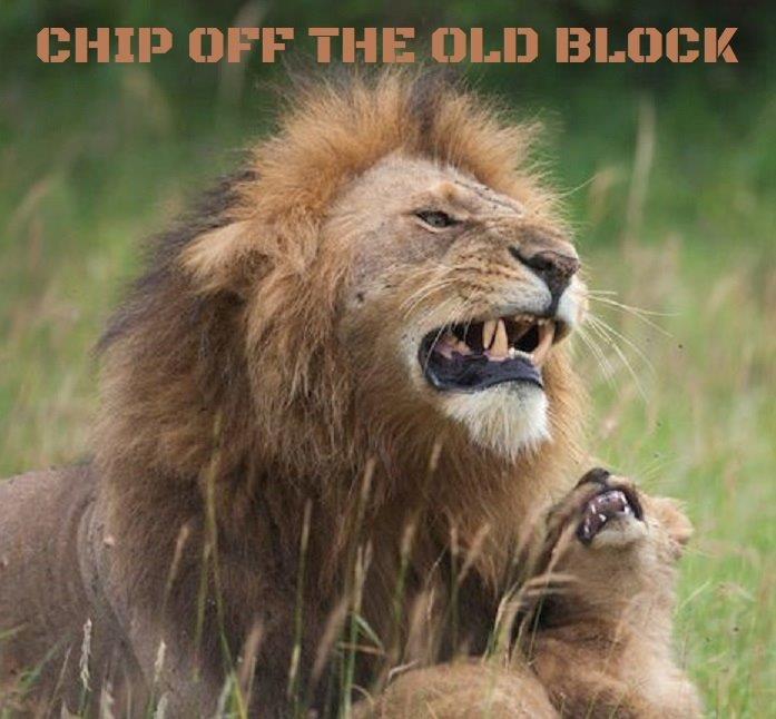 Chip Off the Old Block